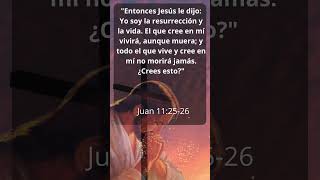 fe biblia reflexiones  oración citasbiblicas  diosteama oración diosesamor [upl. by Anauq]