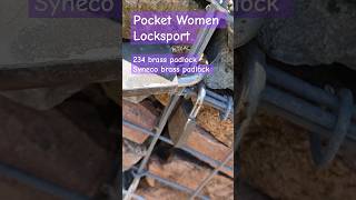 Padlocks on rock lock wall Townsville locksport padlock [upl. by Annayak]