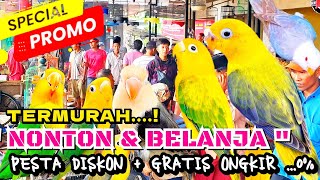 LOVEBIRD HARGA PROMO PUNCAK SEPTEPMBER 2024 [upl. by Kung]