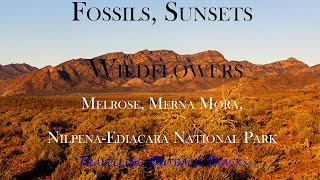 Fossils Sunsets and Wildflowers [upl. by Quillan271]