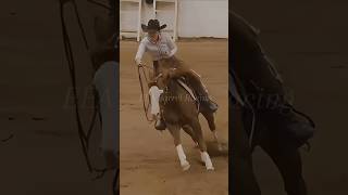 That horse is stunning💕 horses western reining horselover sport [upl. by Ferneau]