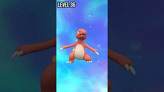 Charmander  Charmeleon  Charizard  Evolution Pokemon in Scarlet amp Violet pokemon shorts [upl. by Sigmund]