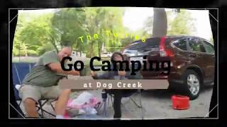 The Turtles go Camping Dog Creek [upl. by Lotsirb560]