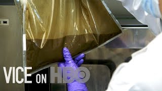 Your Poop Could Save Someones Life  VICE on HBO [upl. by Nirhtak]