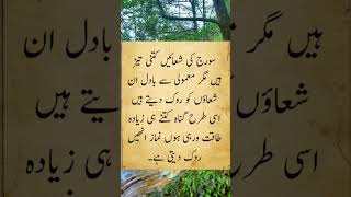 Soraj ki showain islamicmotivationalquotes bestquotes poetry poetry allamiqbal urdupoetry [upl. by Einnij]