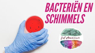 Bacteriën en schimmels reducenten en voedselbederf VMBO [upl. by Idner]