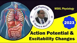 Action Potential amp Excitability Changes of Nerve Fiber 122023 by Dr Khaled A Abulfadle [upl. by Rehctelf253]