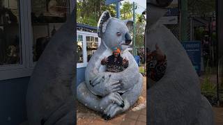 Montville The Blackall Range Sunshine Coast Hinterland Queensland Australia 🦖🐨🍃🇦🇺 [upl. by Ellimac61]