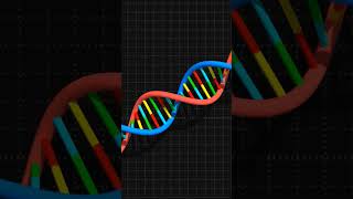 DNA  DeOxy Ribonucleic Acidbiology anatomy brain science facts [upl. by Nahtonoj]