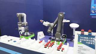 TM5 Collaborative Robot Dual SCHUNK arm example [upl. by Gitt]