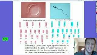 Traits Genes and Alleles [upl. by Matheson]