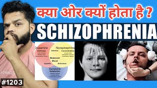 Schizophrenia Explained In Hindi  Schizophrenia Causes Symptoms Diagnosis amp Treatment [upl. by Annaet]