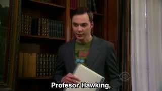 Sheldon conoce a Stephen Hawking [upl. by Yodlem]