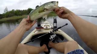 Bass fishing Lake Bastrop Texas North Shore and South Shore [upl. by Yoshio986]