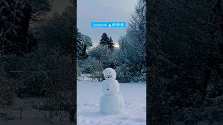 Snowman 🇨🇭⛄️❄️❄️❄️shotrs winterinswitzerland winterwonderland snow snowman [upl. by Henarat271]