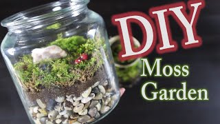 DIY Moss Terrarium How To Make A Moss Garden [upl. by Acimat]