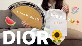 【DIOR】キラキラ新作チーク🪄買いに行ったら、可愛すぎるノベルティもらった🥰🍉 [upl. by Broeker]