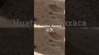 huatulco travel beach oaxacaturismo costadeoaxaca bahiasdehuatulco vlog visitaoaxacamexico [upl. by Iey]