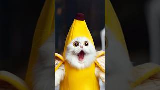 Tom sings change cat to a yellow banana meow [upl. by Frear]