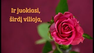 Sveikinu su Kovo 8 ąja  🌷♫♬♪❤ [upl. by Anerec]