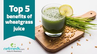 5 Important Benefits Of Wheatgrass Juice [upl. by Orford189]