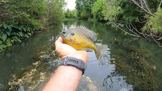 The Best Bluegill Bait that’s not Worms You’ll be Shocked [upl. by Sinnelg555]