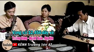 Hòa tấu vọng cổ 12456dây xề  Ns Trường Giang NS Huỳnh Tuấn NS Duy Kim [upl. by Irena]