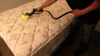 Steam Mattress Cleaning Machines for Bed Bugs Removal [upl. by Eyllom]