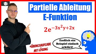 Partiell ableiten e Funktion Beispiel [upl. by Salome]