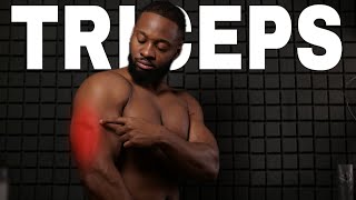 3 EXERCICES POUR FAIRE GROSSIR SES TRICEPS [upl. by Jarrett]