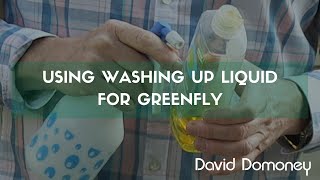 Gardening Tip Washing up liquid for greenfly [upl. by Eno855]