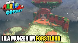 Alle Lila Münzen im Forstland von Super Mario Odyssey [upl. by Wehtam]