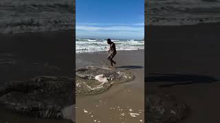 He Saw the Weird Dead Fish in The Sea  InFact Tamil shortsvideo [upl. by Htiderem20]