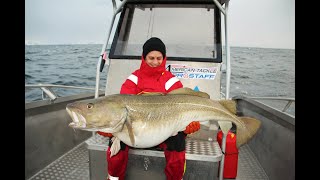 The biggest cod population in the world  A Camp Halibut Fishing film Torskfiske på Sørøya ENG SUBS [upl. by Jezreel]