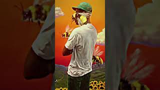 Flower boy album vs Chromokopia  Tyler the creator  viralvideos shorts vs rap tylerthecreator [upl. by Llenrod590]