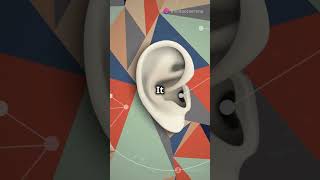 Can Your Ears Hear the Future 👂🤯🚀 ears facts information learn science publichealth shorts [upl. by Karita]