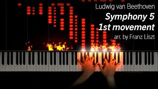 BeethovenLiszt  Symphony 5 1st Movement 25k subs special [upl. by Romeo]