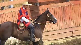 SERIE CAMPEONES RODEO DE CHANCO COMUNA DE LOS LAGOS [upl. by Ocicnarf]