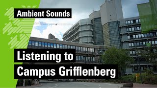 Taking a step back  Listening to Campus Grifflenberg [upl. by Berlinda121]