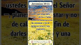 Mensaje Bíblico de hoy Jeremías 2911 Fe VersiculoDeLaBiblia TextosBiblicos EstudioBiblico [upl. by Treb]