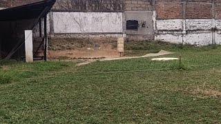 Khasi Hills Archery Sports Institute  1st Round 13112024 [upl. by Anotal]