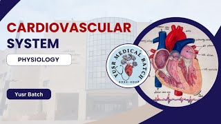 Physiology L6 C2 Cardiac arrhythmia [upl. by Colinson18]