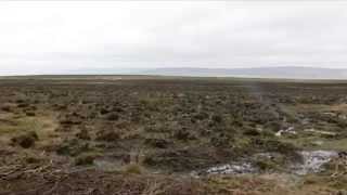 Ilkley Moor Fire control Heather regeneration and Moorland management [upl. by Balcer696]