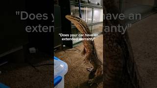 My pet monitor lizard thinks hes a cat [upl. by Linzy]