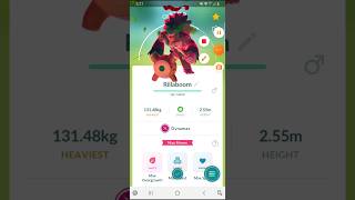 Fully Evolving Dynamax Rillaboom pokemongo [upl. by Eblehs]