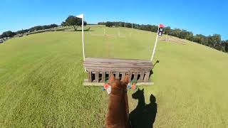 GoPro Wyeth the Mustang Training  2023 Majestic Oaks Schooling Show II  Cross Country [upl. by Neelyak]