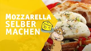 Mozzarella selber machen  In nur 1 Stunde [upl. by Hplodur]