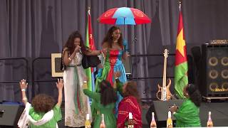 Elsa Kidane Eritrea independence day washington dc [upl. by Ahseela101]