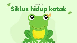 SIKLUS HIDUP KATAK  METAMORFOSIS KATAK  TK  SD  PAUD [upl. by Rik]