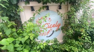 Cicely restaurant in Vijayawada [upl. by Etnomed807]